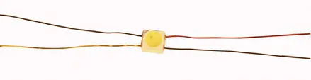 SMD-Duo-LEDs_PLCC4.webp