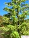 GA-0018.jpg?time=1788786797