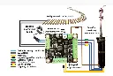 4310d.webp