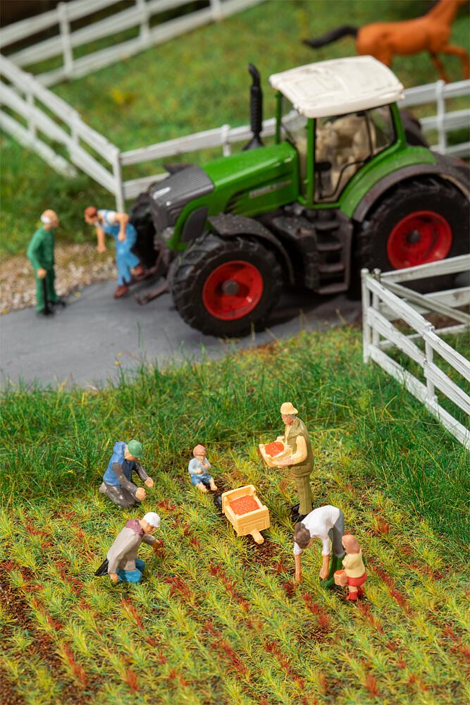 Faller 151659   H0  Dans le champ de fraises 