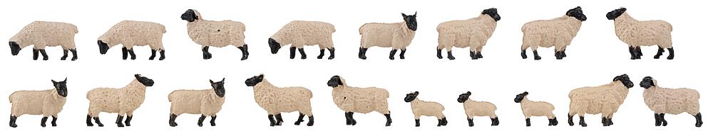 Faller 151918   H0  18 Moutons à tête noire allemands 