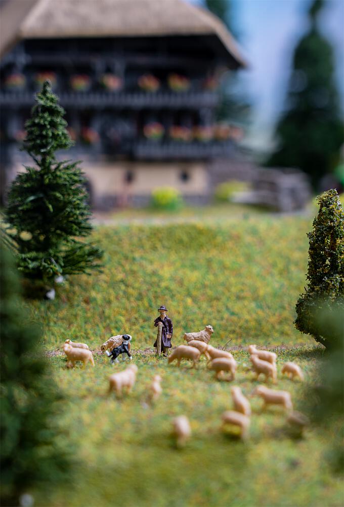 Faller 155901   N  Être berger 