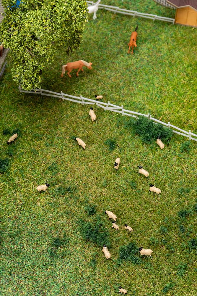 Faller 155906   N  20 Moutons à tête noire 