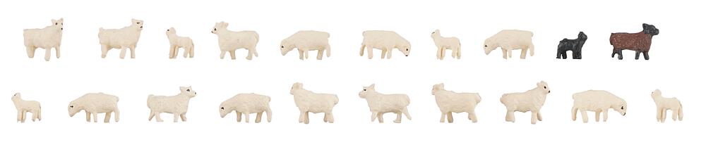 Faller 155907   N  20 Moutons domestiques 