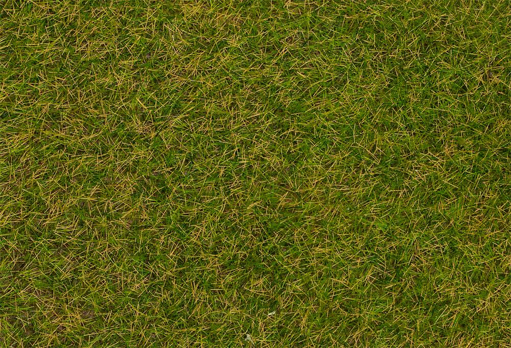 Faller 170256   H0, TT, N  Fibres de flocage herbes sauvages, Prairie au début de l'été, 4 mm, 1 kg 