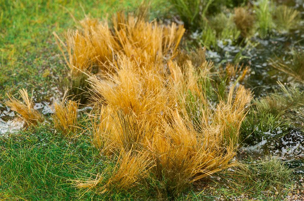 Faller 170715   H0, TT, N, Z  Roseaux ca. 80 mm