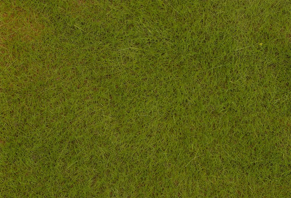 Faller 170772   H0, TT, N  Fibres de flocage PREMIUM, Prairie au début de l'été, 6 mm, 30 g 