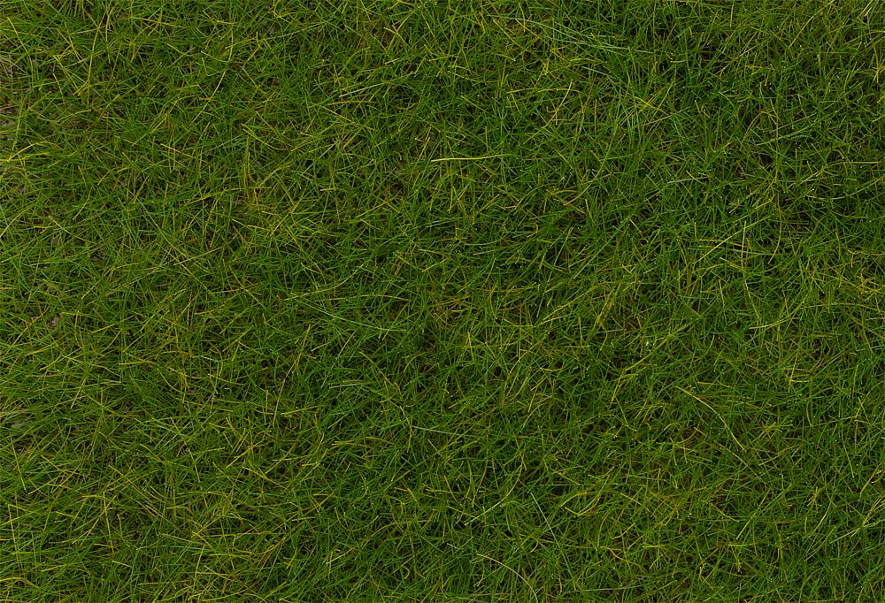 Faller 170774   H0  Fibres de flocage PREMIUM, Prairie d'été, longue, 12 mm, 30 g 