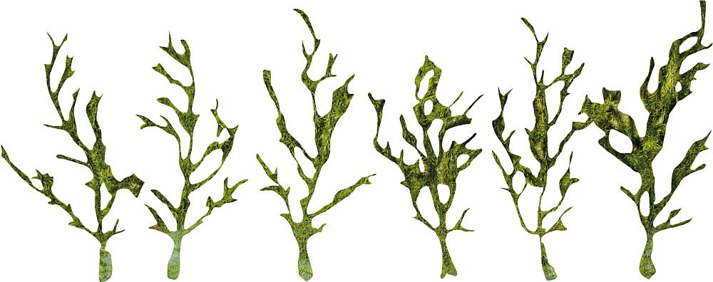 Faller 171839   H0, TT  PREMIUM Plante grimpante, vertes 