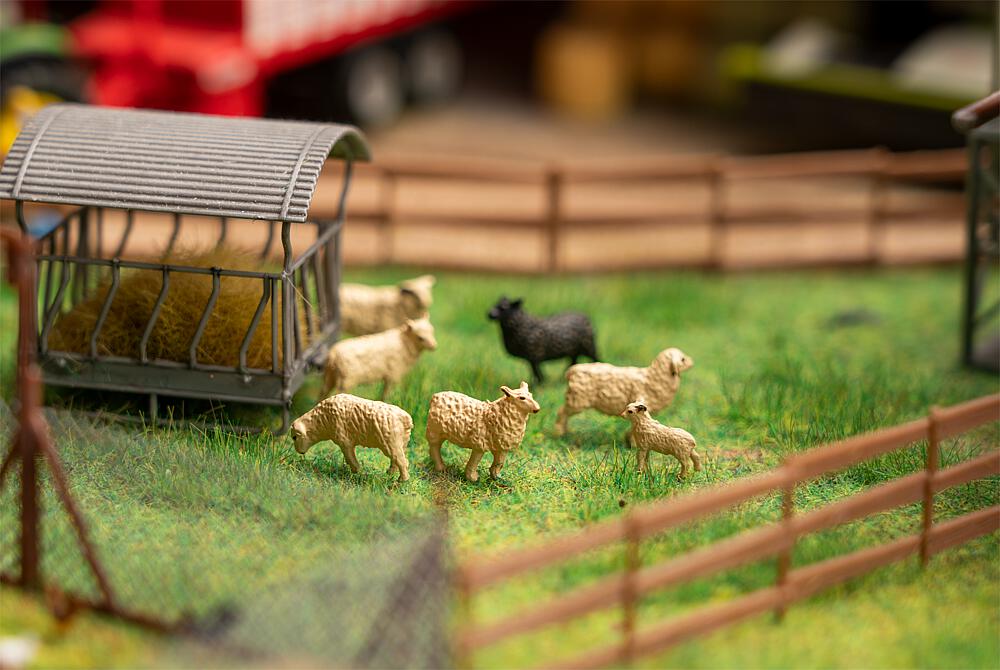 Faller 180236   H0  Lot de figurines avec minibruitage Moutons 