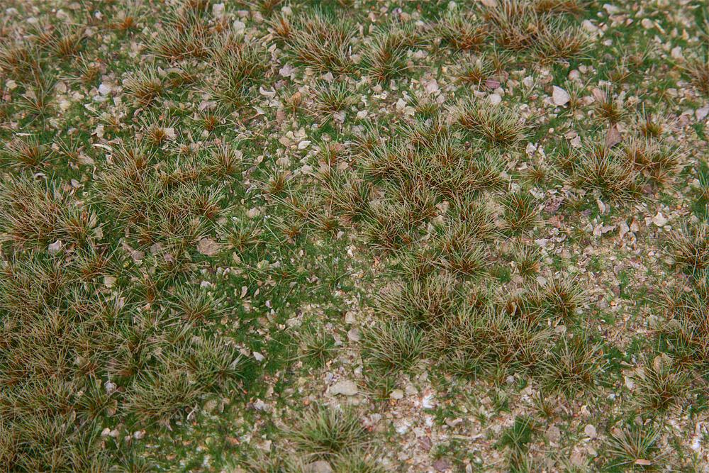 Faller 180479   H0, TT, N  Segment de paysage PREMIUM, Champ d'herbes sauvages 210 x 148 x 9 mm