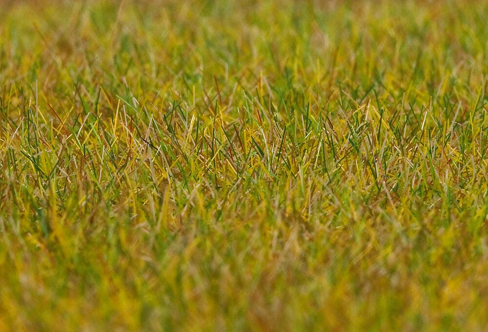 Faller 180484   H0, TT, N  Fibres de flocage PREMIUM, Prairie, vert clair, 6 mm, 30 g 