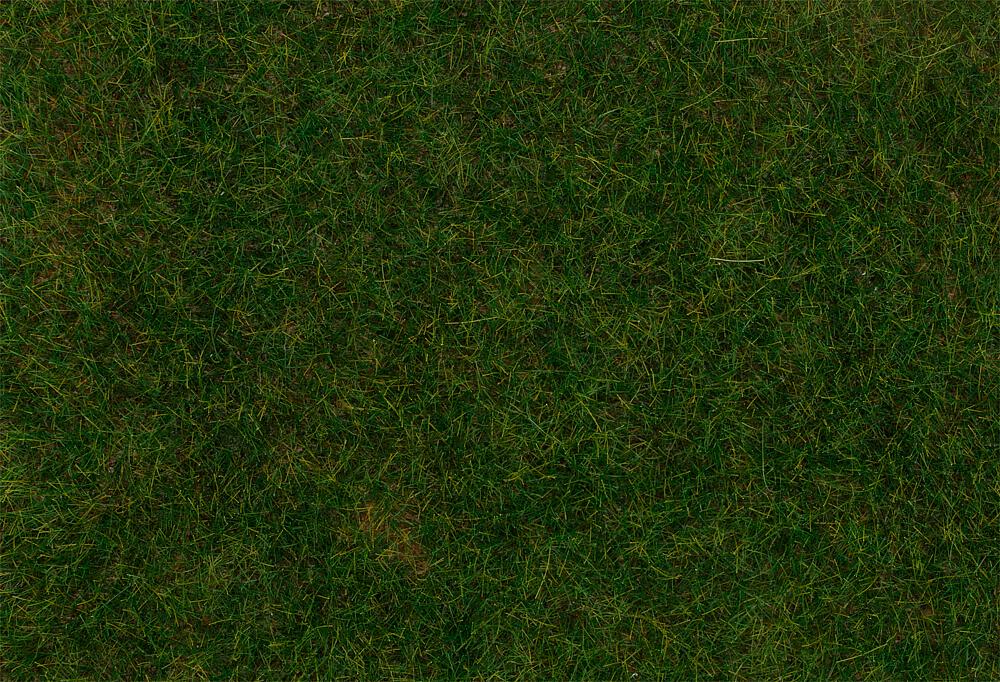 Faller 180485   H0, TT, N  Fibres de flocage PREMIUM, Herbe, vert foncé, 6 mm, 30 g 6 mm