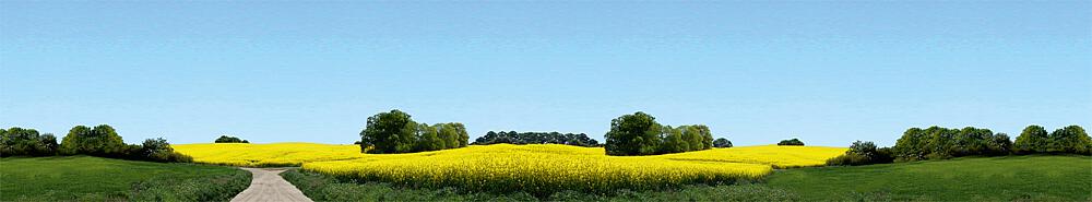 Faller 180504   H0, TT, N  Arrière-plan de modélisme Ostholstein 2700 x 500 mm