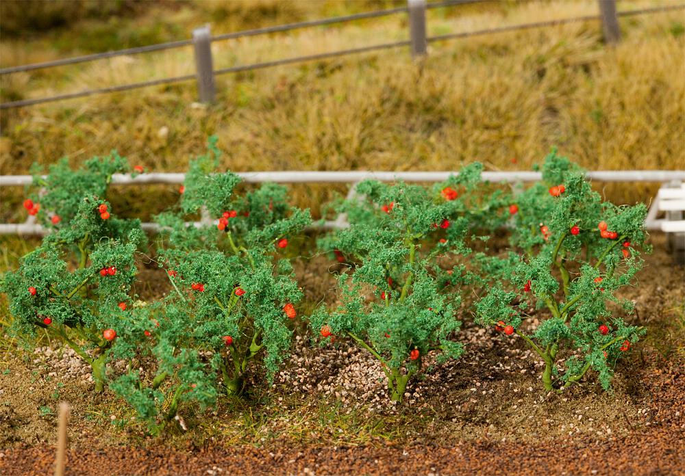 Faller 181259   H0  18 Plants de tomate 
