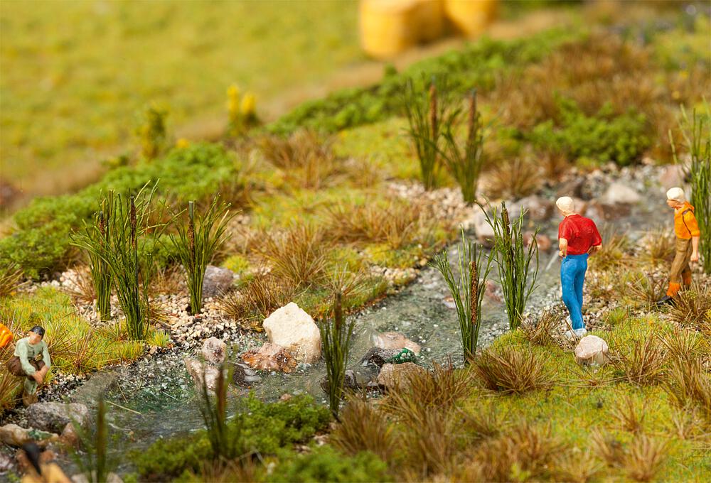 Faller 181261   H0  24 Roseaux-massues 