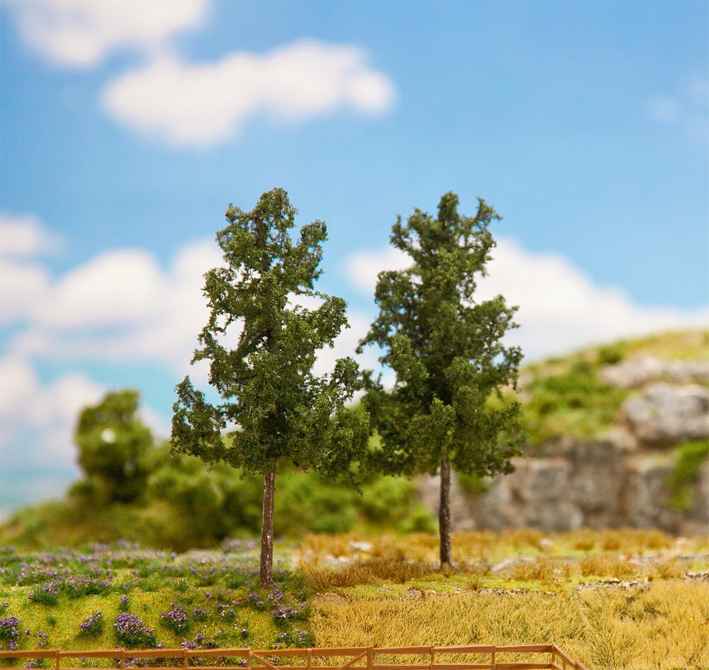 Faller 181312   H0, TT  2 PREMIUM Épicéas 