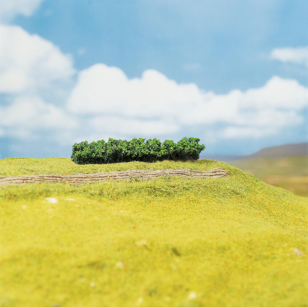 Faller 181356   H0, TT, N  4 PREMIUM Haies, vert clair 100 x 15 x 10 mm