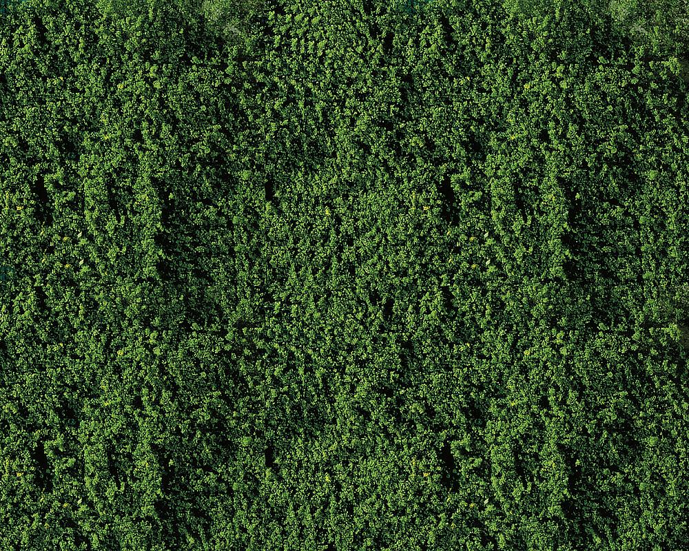 Faller 181391   H0, TT, N  Matériel de flocage, vert foncé 250 x 120 mm