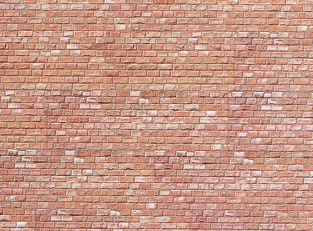 Faller 222564   N  Plaque de mur, Jurassique 250 x 125 x 0,5 mm