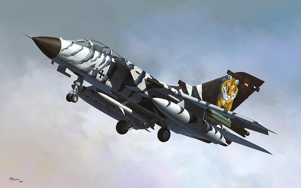 HOBBY BOSS 80354  1/48 Tornado ECR 