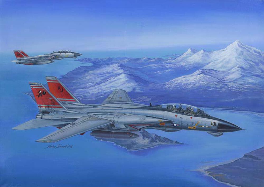 HOBBY BOSS 80368  1/48 F14D Super Tomcat 