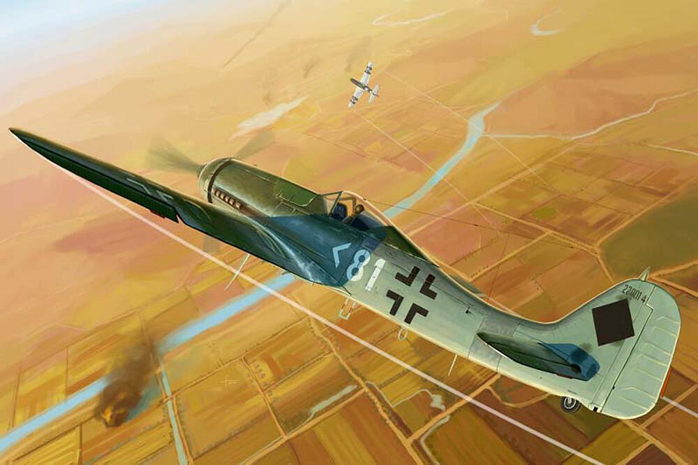HOBBY BOSS 81718  1/48 Focke-Wulf FW 190 D11 