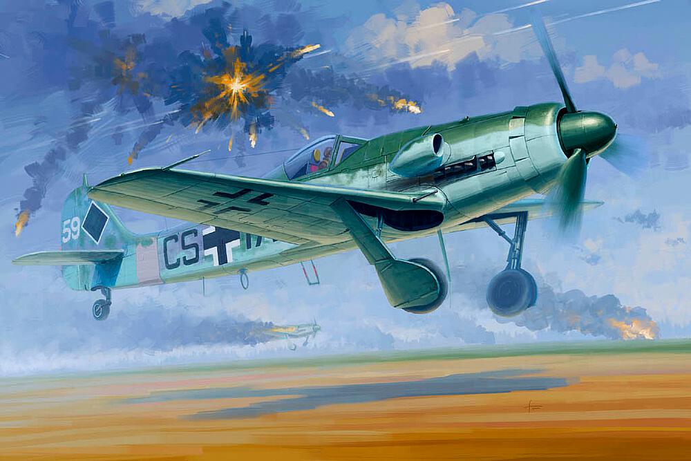 HOBBY BOSS 81719  1/48 Focke-Wulf FW 190 D12 