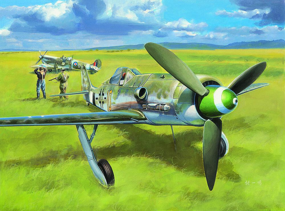 HOBBY BOSS 81721  1/48 Focke-Wulf FW 190 D13 