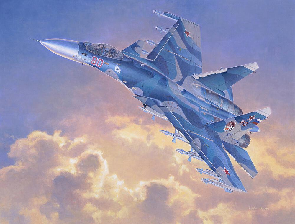 HASEGAWA E35  1/72 Su 33 Flanker D 