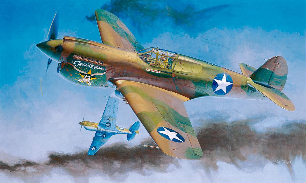 HASEGAWA ST29  1/32 P-40E Warhawk 