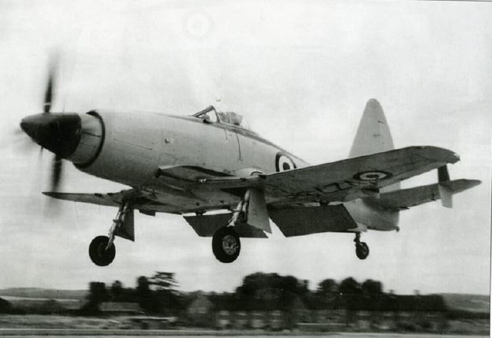 TRUMPETER 1619  1/72 British Wyver S.4 