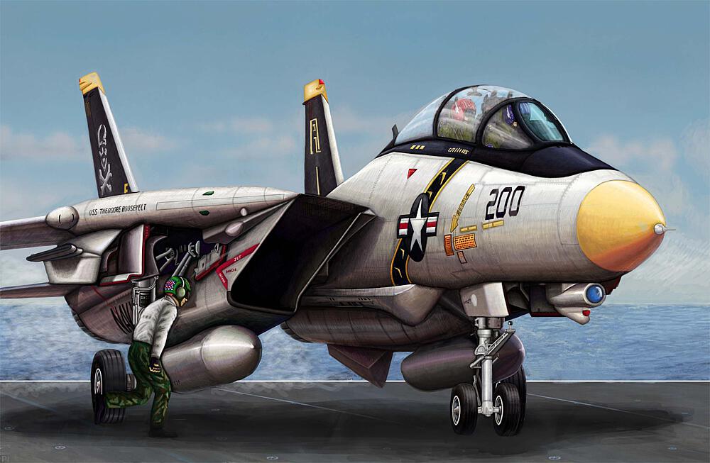 TRUMPETER 3910  1/144 F14A Tomcat 