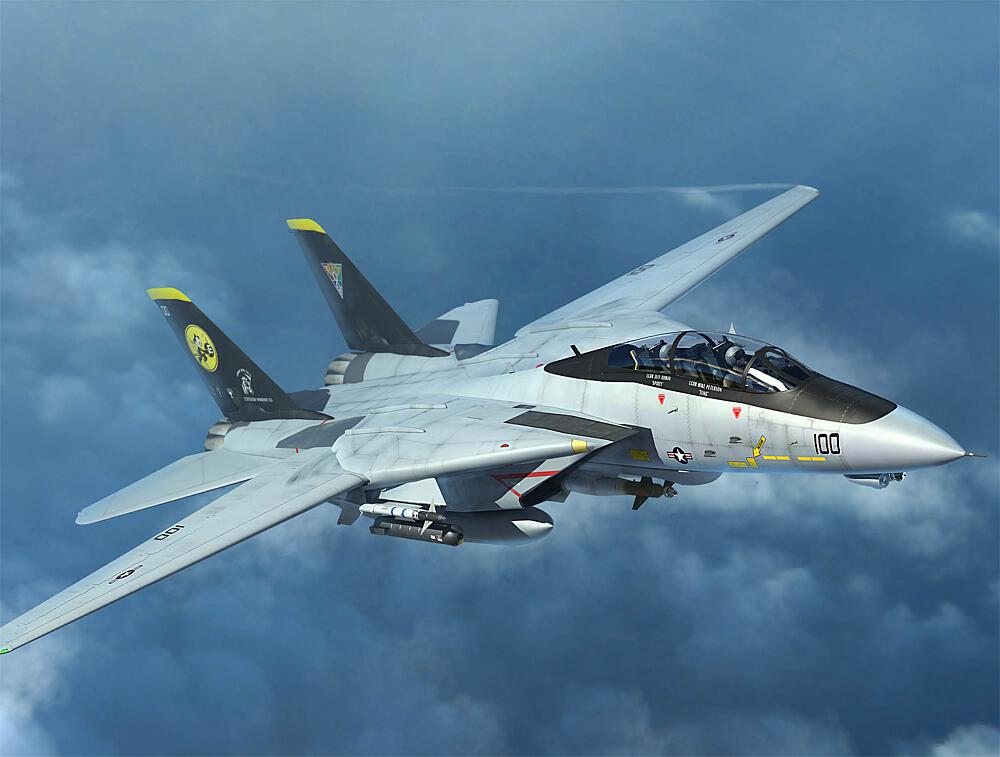 TRUMPETER 3919  1/144 F14D Tomcat 