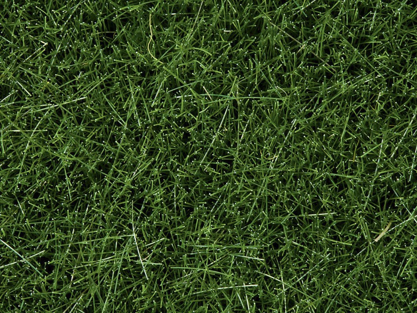 Noch 07094   Herbes sauvages, vert foncÃ©, 6 mm