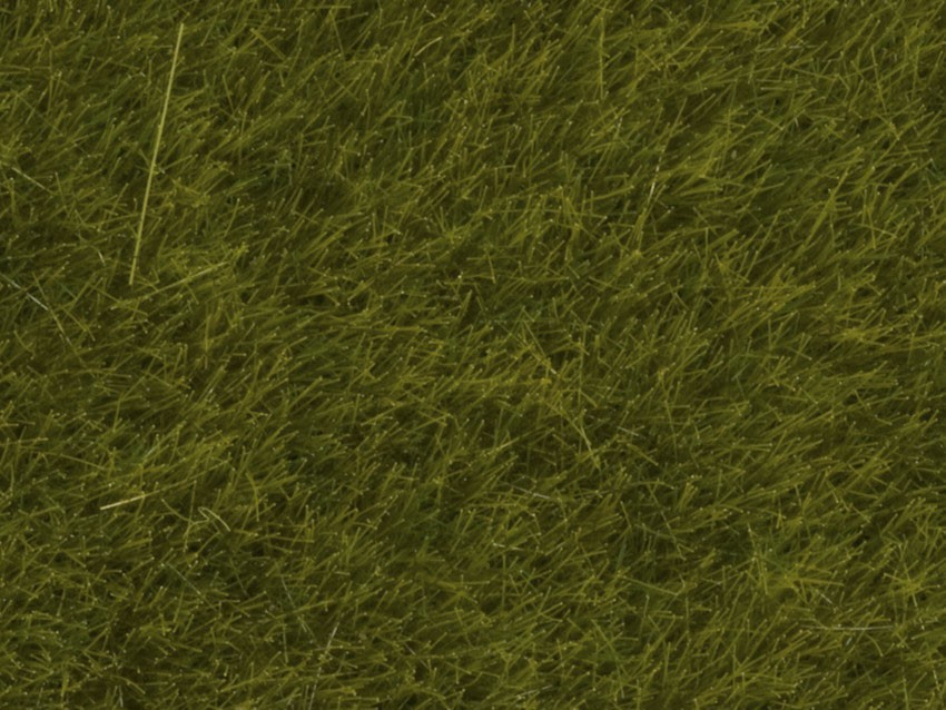 [Noch 07100] Noch 07100   Herbes sauvages PrÃ©, 6 mm