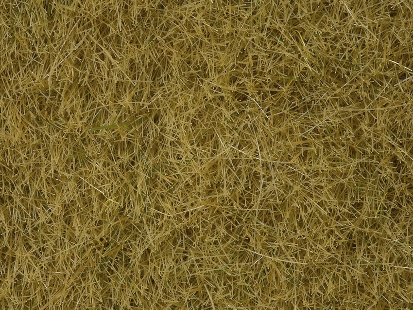 Noch 07101   Herbes Sauvages beige, 6 mm