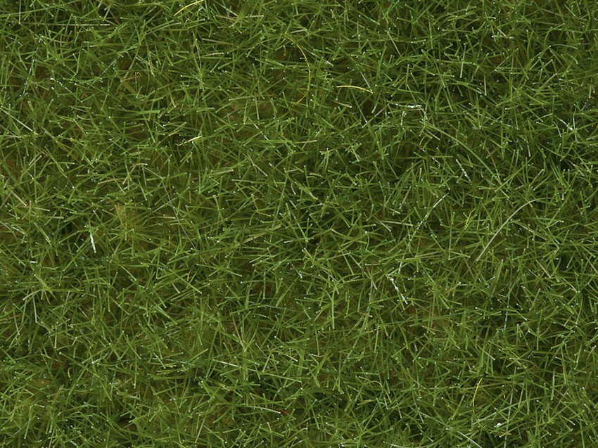 Noch 07102   Herbes Sauvages vert clair, 6 mm