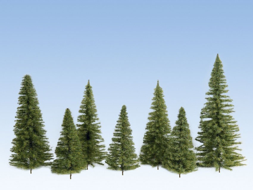 Noch 26319  Sapins EpicÃ©as, verts moyens 6 - 15 cm de haut 25 piÃ¨ces