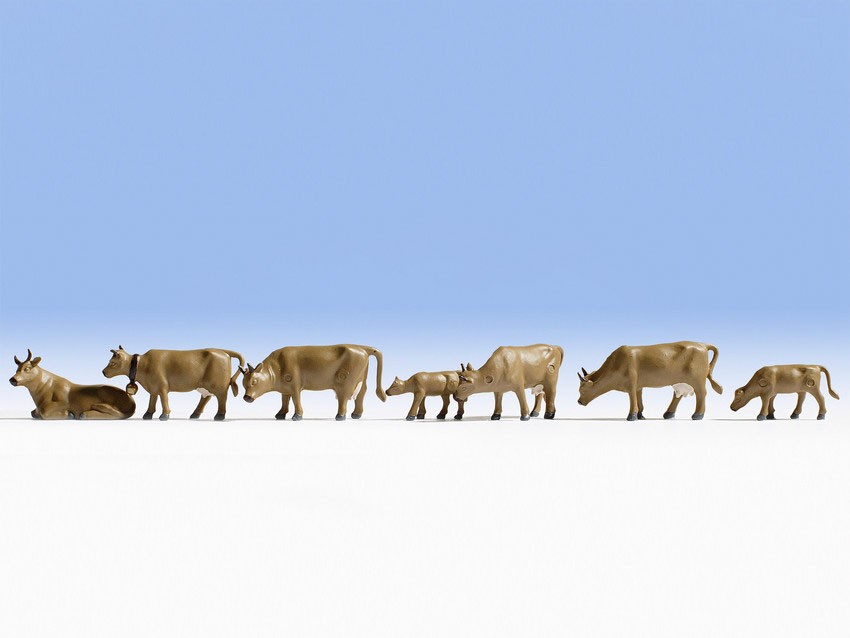 Noch 36722   Vaches, brunes foncÃ©es