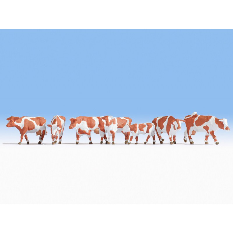 Noch 36723   Vaches, Blanches-Brunes