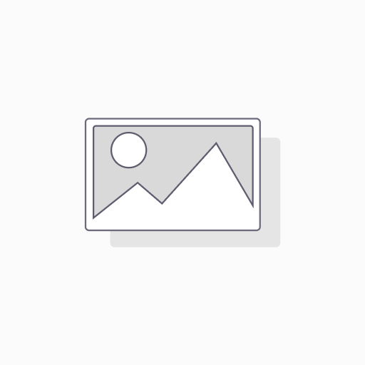 Zimo BUCHS6