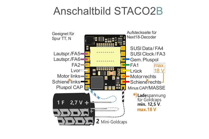 Zimo STACO2B 2 gros Goldcaps