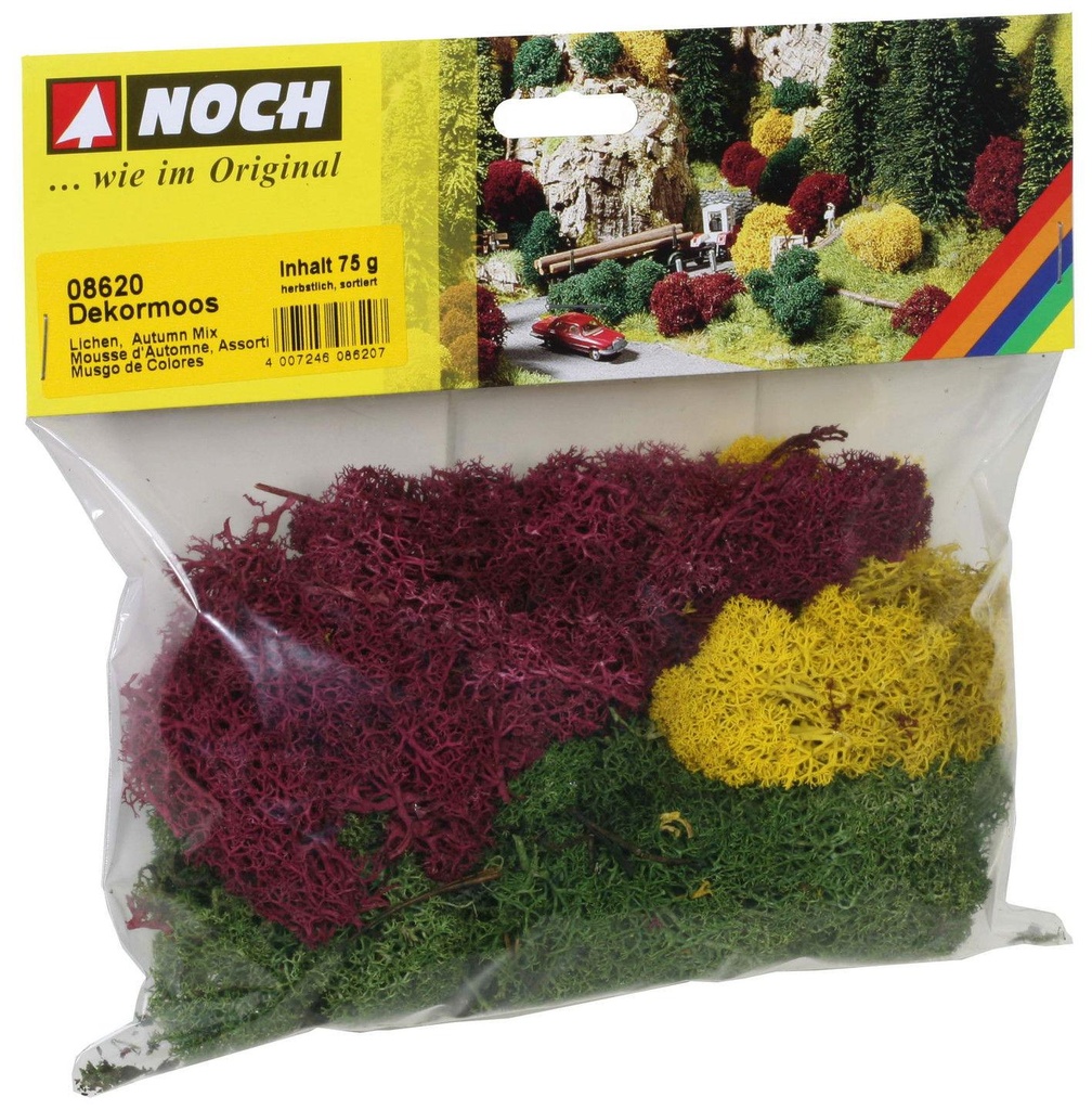 Mousses d'automne assorties - NOCH 08620