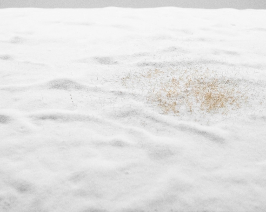 RTS 92302-3 Tapis d'herbe Pré neigeux 420x297 mm Voie H0/0