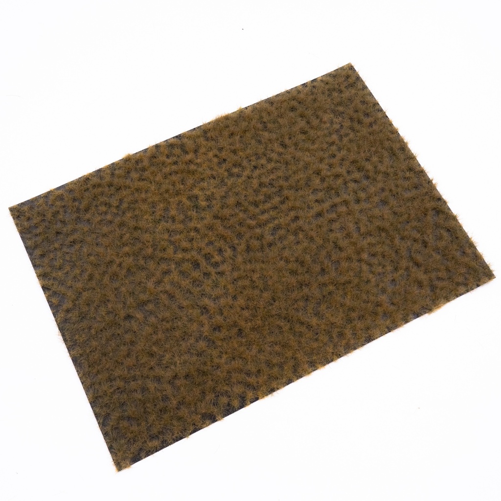 RTS 82143 Bouton d'herbe automne tardif 2-8 mm, en couches 148 x 210 mm