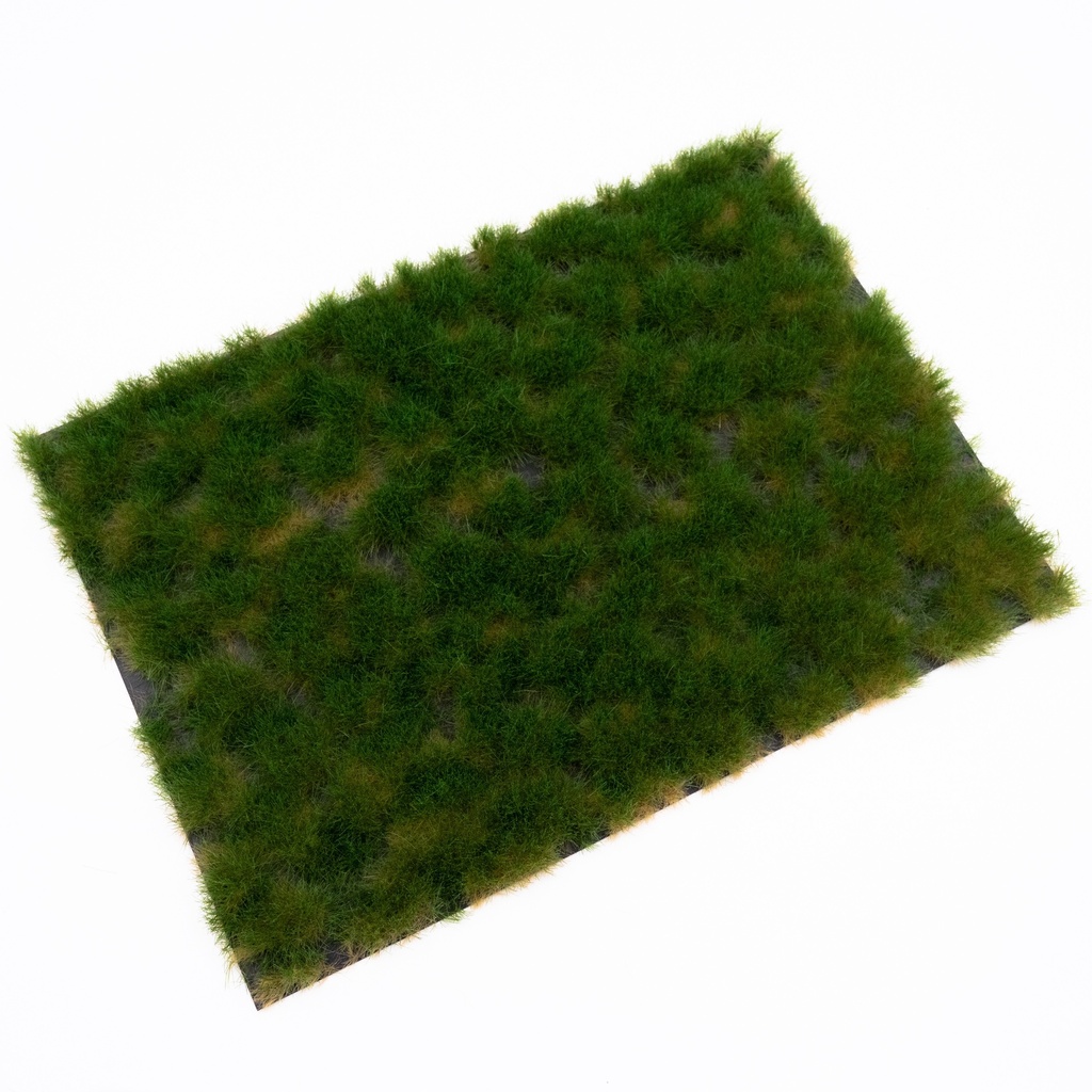 RTS 82115 Boutures d'herbe de printemps 2-12 mm, en couches 148 x 210 mm
