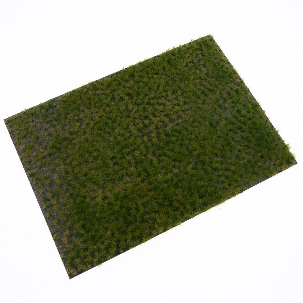 RTS 82113 Boutures d'herbe été 2-8 mm, en couches 148 x 210 mm