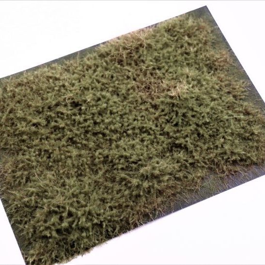 RTS 95520 Arbustes genévrier olive 148x210 mm