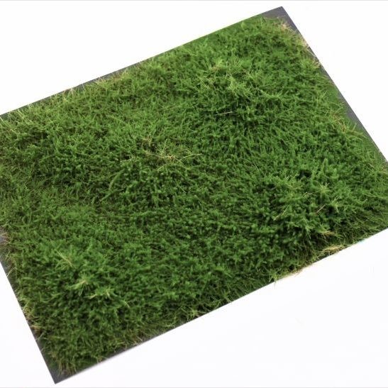 RTS 95500 Arbrisseaux genévrier vert 148x210 mm